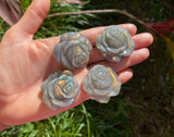 Rare High Flash Labradorite Rose Hand Carved Crystal Flower Gift to Say I Love You Christmas Birthday Anniversary Gift Stocking Stuffers