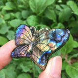 HIGH FLASH Labradorite Butterfly Hand Carved Crystal from Madagascar Altar Tile Birthday Anniversary Friend Christmas Gift Alter Tile