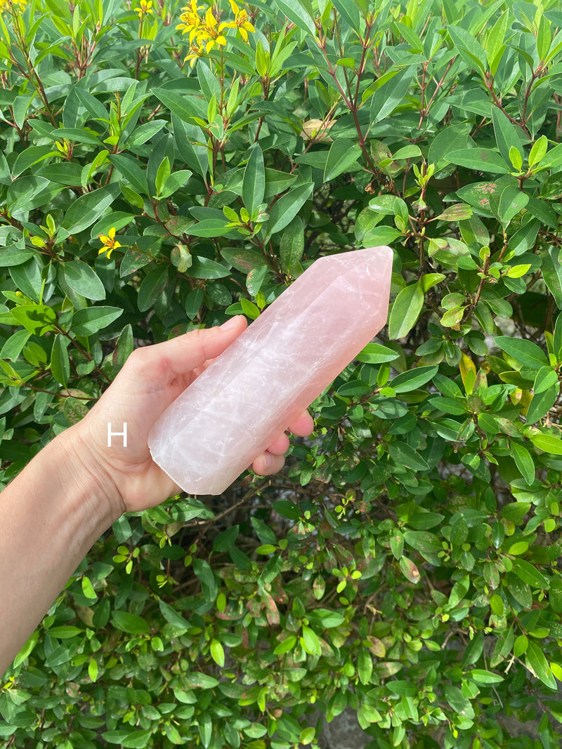 6.6-7.2” Huge Rose Quartz 560-730g Standing Quartz Obelisk Madagascar Dark Pink Display Natural Big Love Crystal Column XL Large A+ Healing