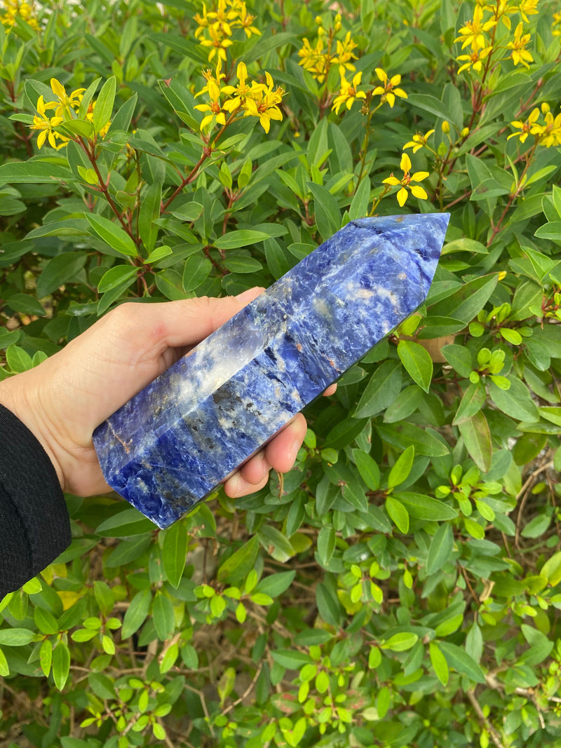 6.5-7.3” Large Sodalite 590-640g Standing Obelisk from Brazil Blue Rare Quartz Third Eye Display Wand Natural XL Crystal Column Huge Healing