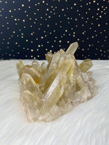 3LB 14oz Unheated Citrine Quartz Self Standing Cluster Natural Rare Reiki Crystal Lwena Congo 8" 1750g Birthday Housewarming Mother's Day