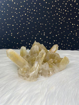 3LB 14oz Unheated Citrine Quartz Self Standing Cluster Natural Rare Reiki Crystal Lwena Congo 8" 1750g Birthday Housewarming Mother's Day