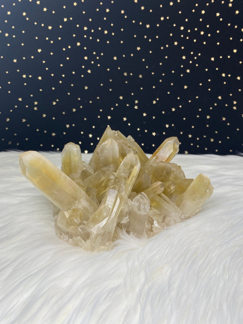 3LB 14oz Unheated Citrine Quartz Self Standing Cluster Natural Rare Reiki Crystal Lwena Congo 8" 1750g Birthday Housewarming Mother's Day