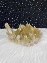 3LB 14oz Unheated Citrine Quartz Self Standing Cluster Natural Rare Reiki Crystal Lwena Congo 8" 1750g Birthday Housewarming Mother's Day