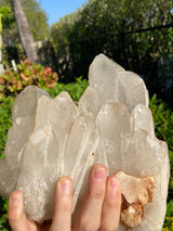 9.5” HUGE Unique Clear Quartz Cluster 7lb 8.4oz 3410g Many Twin Points Large Natural Crystal Mineral from Madagascar Display Big Crystal XL