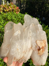 9.5” HUGE Unique Clear Quartz Cluster 7lb 8.4oz 3410g Many Twin Points Large Natural Crystal Mineral from Madagascar Display Big Crystal XL