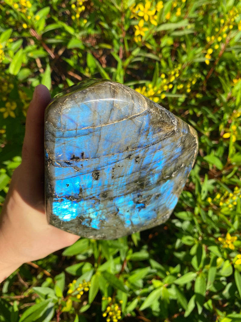 6.5” Dark Blue Labradorite 4lb 3oz Self Standing Freeform from Madagascar 1890g Flash Iridescence Quartz Third Eye Large Natural Crystal