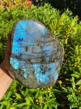 6.5” Dark Blue Labradorite 4lb 3oz Self Standing Freeform from Madagascar 1890g Flash Iridescence Quartz Third Eye Large Natural Crystal