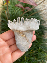 2.72" 80g Clear Quartz Skull Hand Carved Crystal, Biker Musician Unique Gift Healing Spiritual Gangster Birthday Anniversary Father's Day