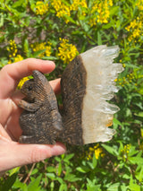 5.2" 230g Large Hand Carved Squirrel Clear Quartz Cluster Good Luck Healing Crystal Birthday Unique Protection Gift Specimen Stone