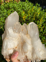 9.5” HUGE Unique Clear Quartz Cluster 7lb 8.4oz 3410g Many Twin Points Large Natural Crystal Mineral from Madagascar Display Big Crystal XL