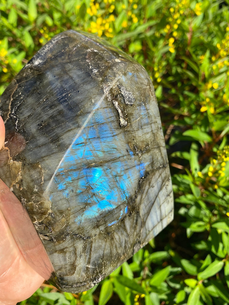 6.5” Dark Blue Labradorite 4lb 3oz Self Standing Freeform from Madagascar 1890g Flash Iridescence Quartz Third Eye Large Natural Crystal