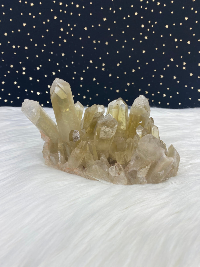 2LB 5oz Unheated Citrine Self Standing Cluster Natural Rare Crystal Lwena Congo 6.5" 1060 Birthday Housewarming Mother's Day Unique Gift Big