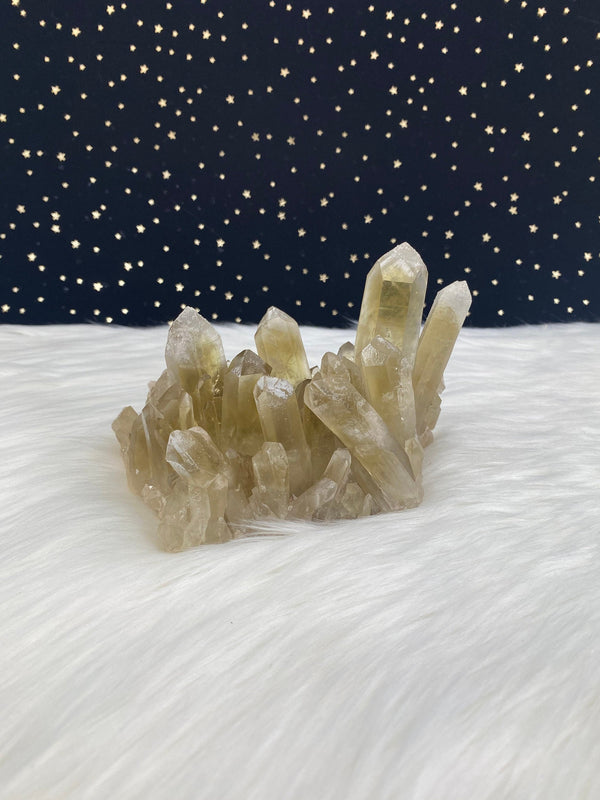 2LB 5oz Unheated Citrine Self Standing Cluster Natural Rare Crystal Lwena Congo 6.5" 1060 Birthday Housewarming Mother's Day Unique Gift Big