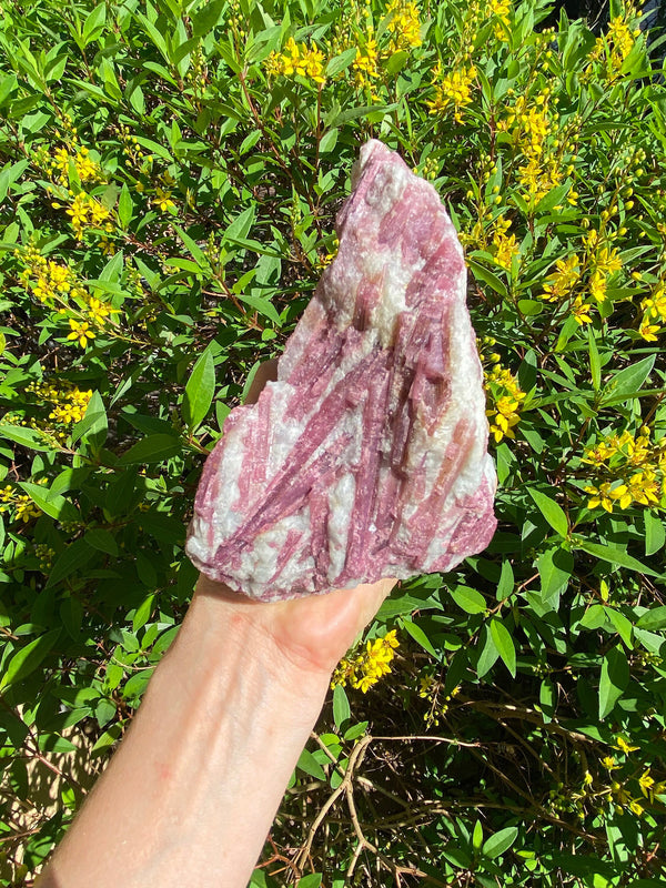 6.5" Large Pink Tourmaline Quartz 2lb 11oz 1210g Cluster, Rubellite Raw Crystal Depression Heart Chakra High Quality Rare Self Love Gift