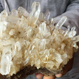9.8” XL Unique Clear Quartz Cluster 4lb 10oz 2110g Many Twin Points Large Natural Crystal Mineral from Madagascar Display Big Crystal Large