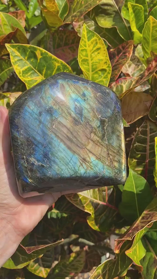 5.5” 5lb Large Sunset Labradorite Self Standing Freeform Madagascar 2270g Flash Iridescence Quartz Natural Crystal Blue Orange Teal Yellow